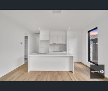 19B Copal Street, Cobblebank, Vic 3338 - Photo 6