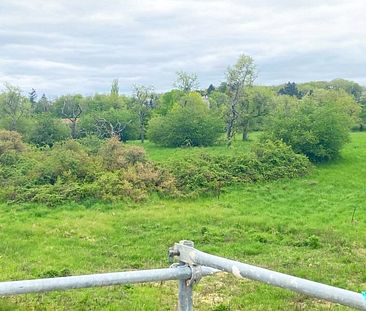 Stufenloser Zugang - energieeffiziente Erstbezug in Bierstadt - Wohnen im Grüngürtel - Foto 1