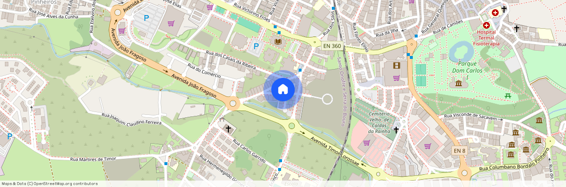 Maestro Carlos Silva, Leiria