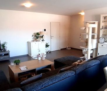 Woning te huur in Zonhoven voor € 1.185 met 3 slaapkamers - Foto 2