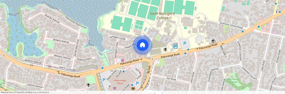 19 Steeple Rise, Pakuranga, Manukau City