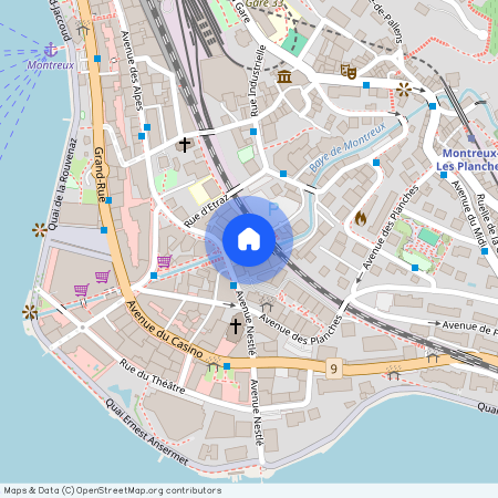 1820, Montreux, Avenue des Alpes, 2