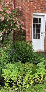5 1/2 secteur Université de Sherbrooke, clé en main - Photo 4