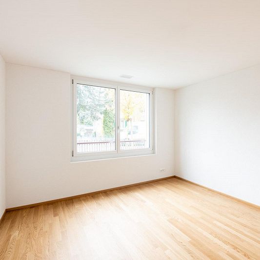 3.5 Zimmerwohnung in Schaffhausen - Photo 1