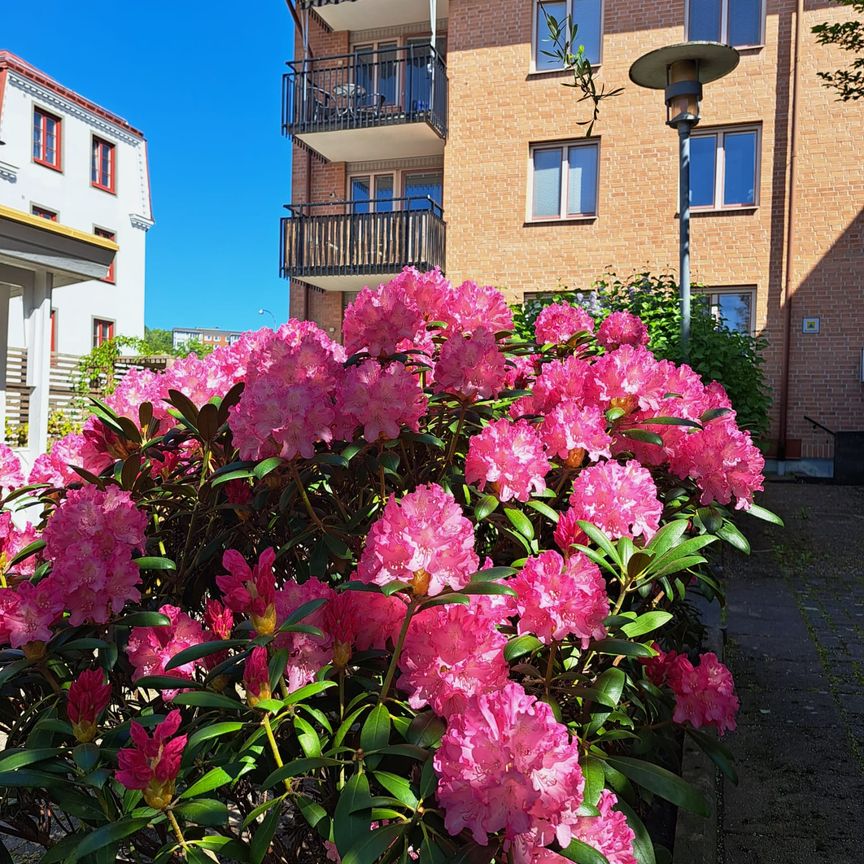 Agnebergsgatan, Uddevalla - Foto 1