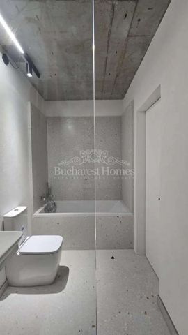 Industrial Look 3 Bdrs with Deck Garden and Parking, Floreasca/ Dorobanti, Bucharest - Photo 2