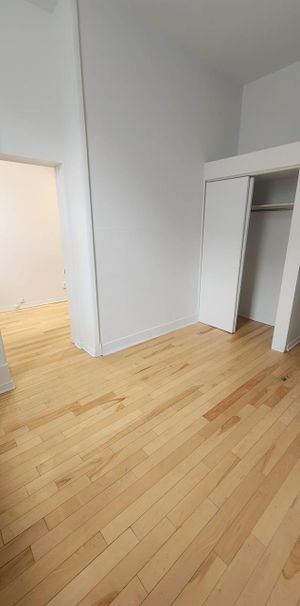 1 CH - 1 SDB - Montréal - $1,245 /mo - Photo 1