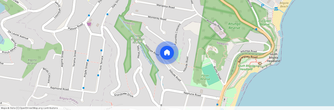 41 Hillside Road, NSW 2106, Newport