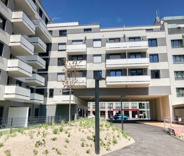 Familienwohnung mit schöner Terrasse - Kirschblütenpark - Photo 4