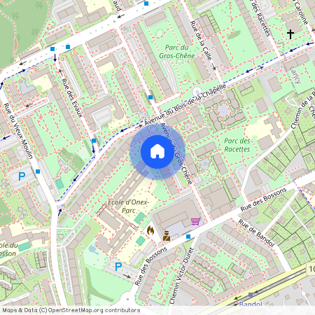 1213, Petit-Lancy, Avenue Du Gros-Chêne, 31