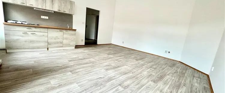 Pronájem bytu 1+kk na ulici Tkalcovská - Photo 1