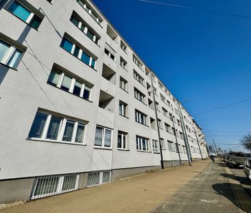 Grudziądz Mieszkanie na wynajem - Photo 4