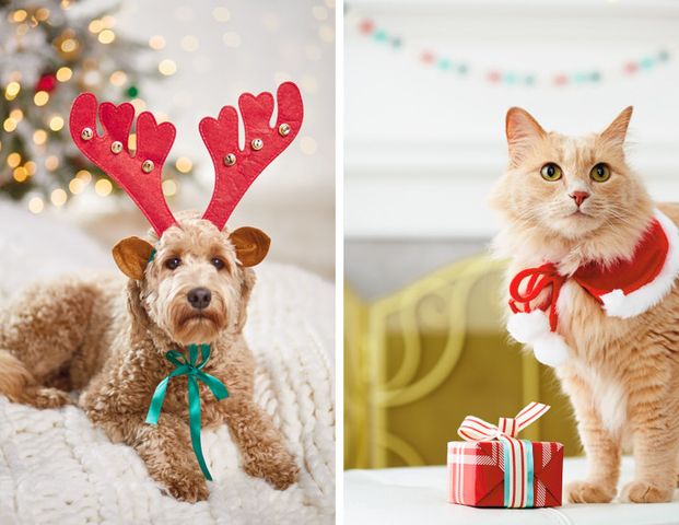 Rental 413-8100 Jones Road - Photo 1