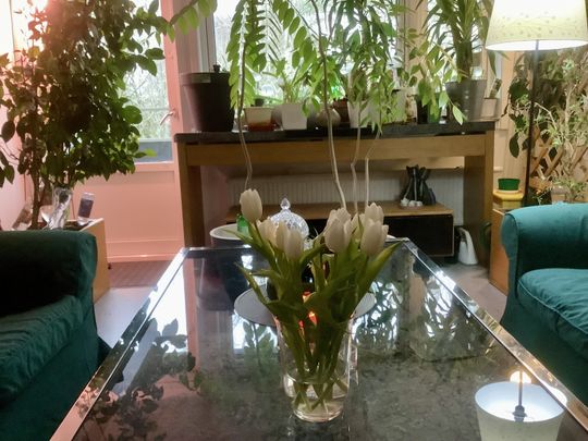 Studiegången, Göteborg - Photo 1