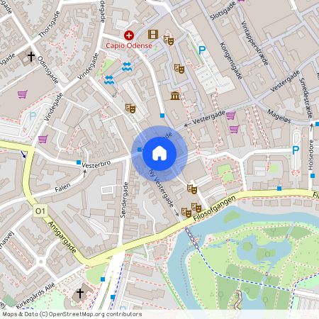 Vestergade 100D 1. th., 5000, Odense C