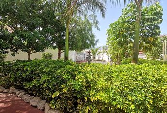 Se alquila en Estrella del Sur apartamento de 1 dormitorio