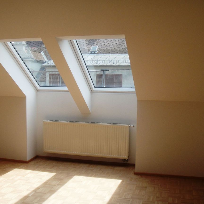 Schöne Wohnung am Kaiser-Josef-Platz mit Klimaanlage - Provisionsfrei! - Photo 1