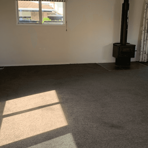 Charming 3-bedroom house with seperate rumpus room or work from home office next to the main house - Photo 1