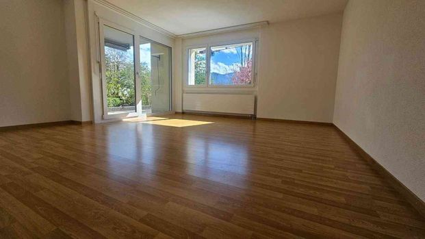 3.5 Zimmer, 75 m², 1. Stock - Foto 1