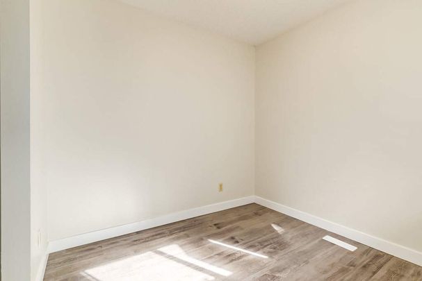 Renovated Suite - 3 Bedroom - Photo 1