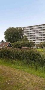Honthorstlaan, 1816 TG Alkmaar, Nederland - Foto 3