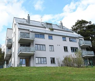 hübsche Kleinwohnung mit Balkon in Grünlage - befristet - Foto 1