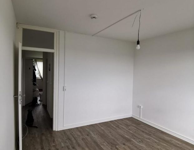 WG Zimmer in Wilhelmsburg - suche dringend Mitbewohnerin! - Photo 1