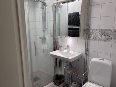 Drottninggatan 130, Helsingborg - Photo 5