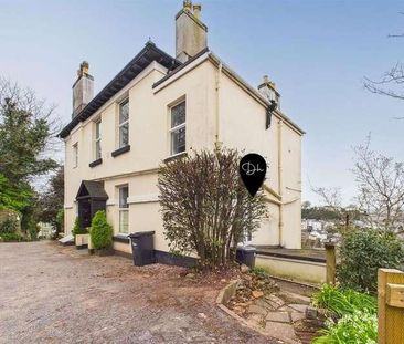 Braddons Hill Road East, Torquay, TQ1 - Photo 6