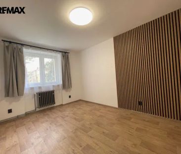 K pronájmu útulný byt 3+1 v přízemí – ideální pro klidné bydlení i ... - Photo 3