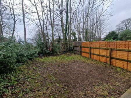 3 bedroom semi-detached house to rent - Photo 2