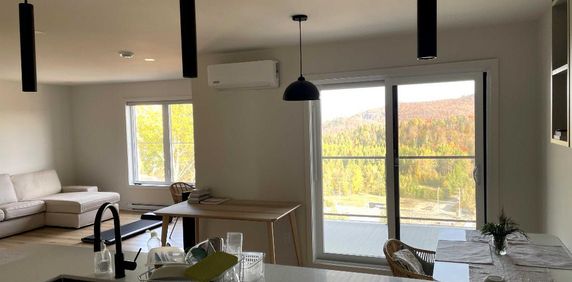 4 et demi quasi neuf à louer à Sainte-Agathe-des-Monts - Photo 2