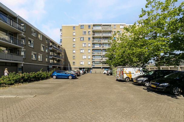 Generaal Stedmanstraat, 254, Eindhoven - Foto 1