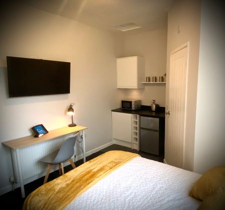 Newly Renovated Studio style en-suite rooms - Photo 3