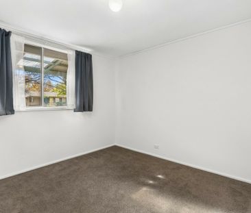 Neat & Tidy 3 Bedroom home with large backyard! - Photo 3