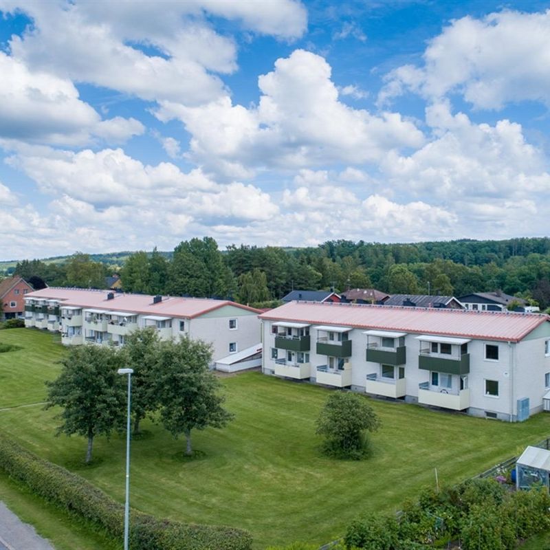 Vimbroplan 1 - Photo 1