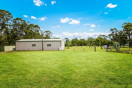 309 Fairey Road, South Windsor NSW 2756 - House For Rent | Domain - Photo 5