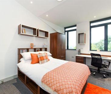 Studio to rent - Photo 6