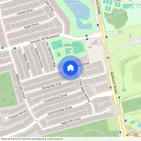 91 CABERNET ROAD, Vaughan