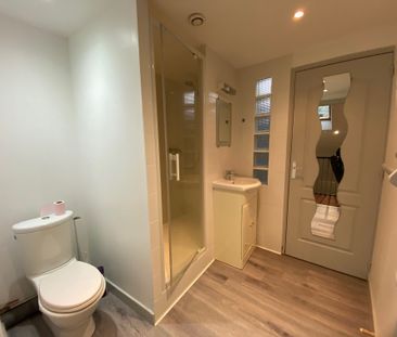 Location Appartement 1 pièce 28m² CHATEAUBRIANT 44110 - Photo 3