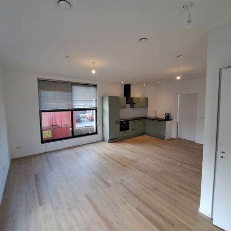 Te huur: Appartement Molenweg in Bedum - Foto 2