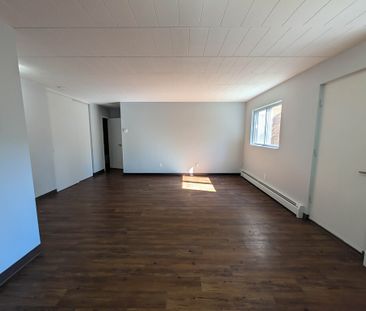 2B Arlington Ave, St. Catharines (205) - 1 Bedroom Apartment - Photo 3