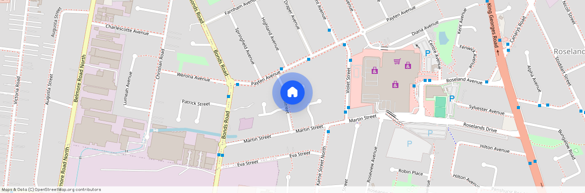 6 Daisy Street, NSW 2196, Roselands