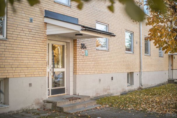 Trädgårdsgatan 36 - Photo 1