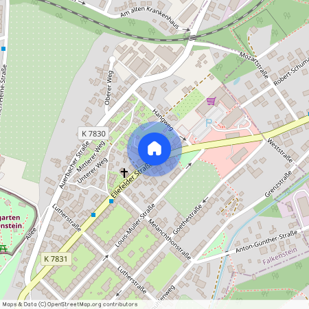 Ellefelder Straße 37, 08223 Falkenstein