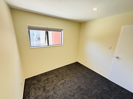 RANDWICK PARK, 3 BEDROOMS - Photo 3