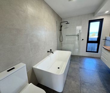 Sunny & Spacious Living in a Convenient Location - Photo 1