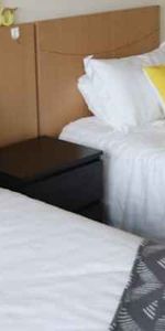 1 Bedroom Twin Share - Photo 3