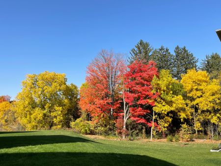 For Lease - 27 Hollybrook Trail Unit# Lower, Kitchener, Ontario - Photo 3