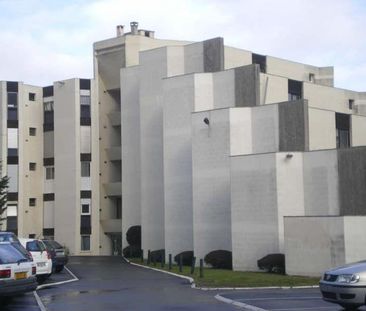 Location Appartement 1 pièce 26m² TALENCE 33400 - Photo 3